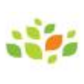 SOIL Institute of Management official logo